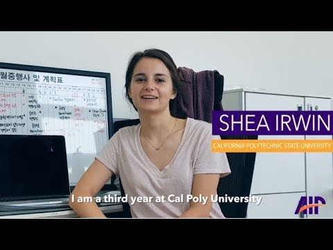 AIP - Shea's South Korea Internship