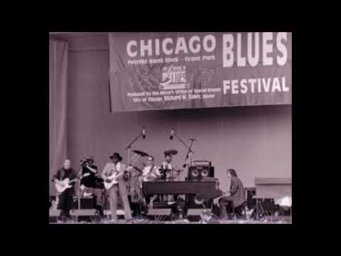 Byther Smith & The Kingsnakes Live at the Chicago Blues Festival, Chicago - 1994 (audio only)