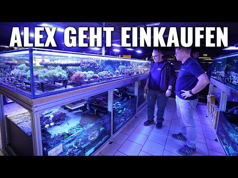 Alex kauft ein - Besuch bei AQUADESIGN in Oldenburg