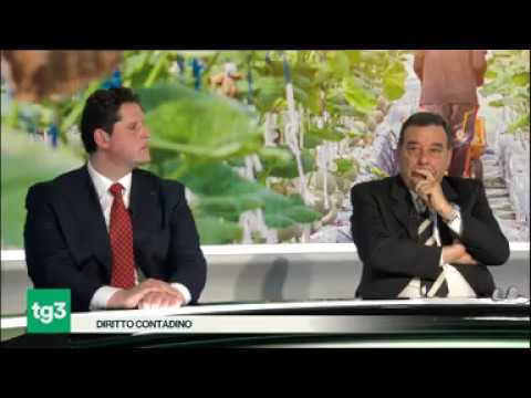 RAI 3 FUORI TG - Diritti dei contadini e insediamento giovani. Ospite Stefano Francia (Agia-Cia)