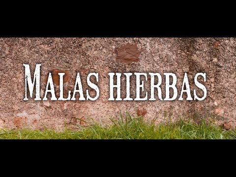 Cortometraje "Malas Hierbas"