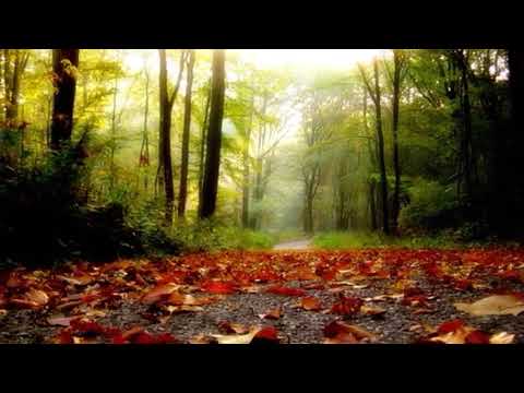 Surah Al jin Ayah 18-21