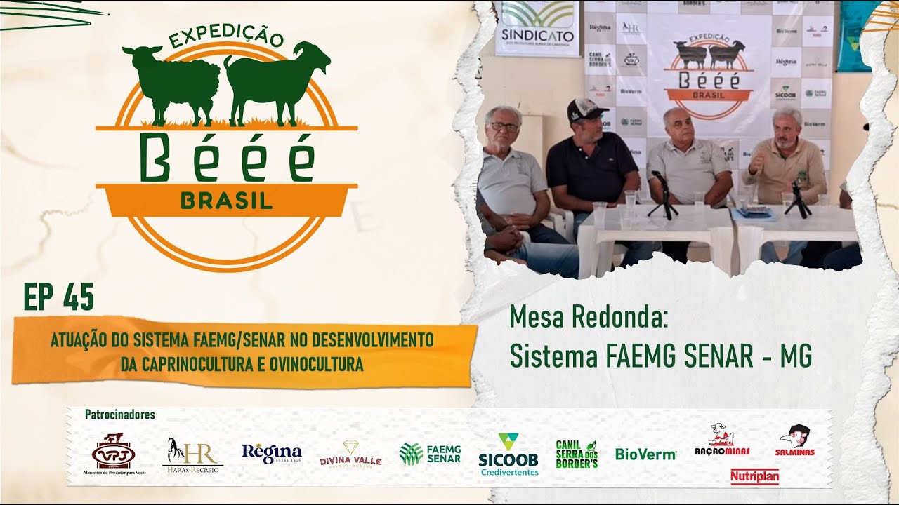 EXPEDIÇÃO BÉÉÉ BRASIL EP 45 - MESA REDONDA COM - SISTEMA FAEMG SENAR