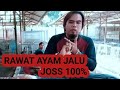 Full Rawat Ayam Jalu Antoni Medan