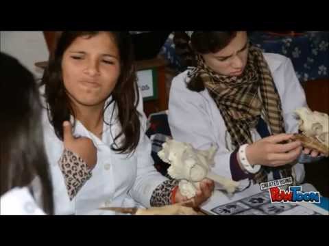 Trabajo Final estudiantes FLOR DE CEIBO RIVERA 2015 Trabajo Colaborativo Interinstitucional