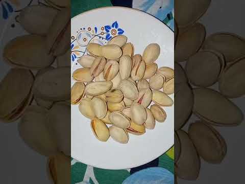 Pista badam #shorts #pista #viral #trending