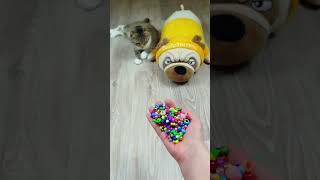 Funny Cats 🐱🔥 Beads Marbles 🌈 Reverse video