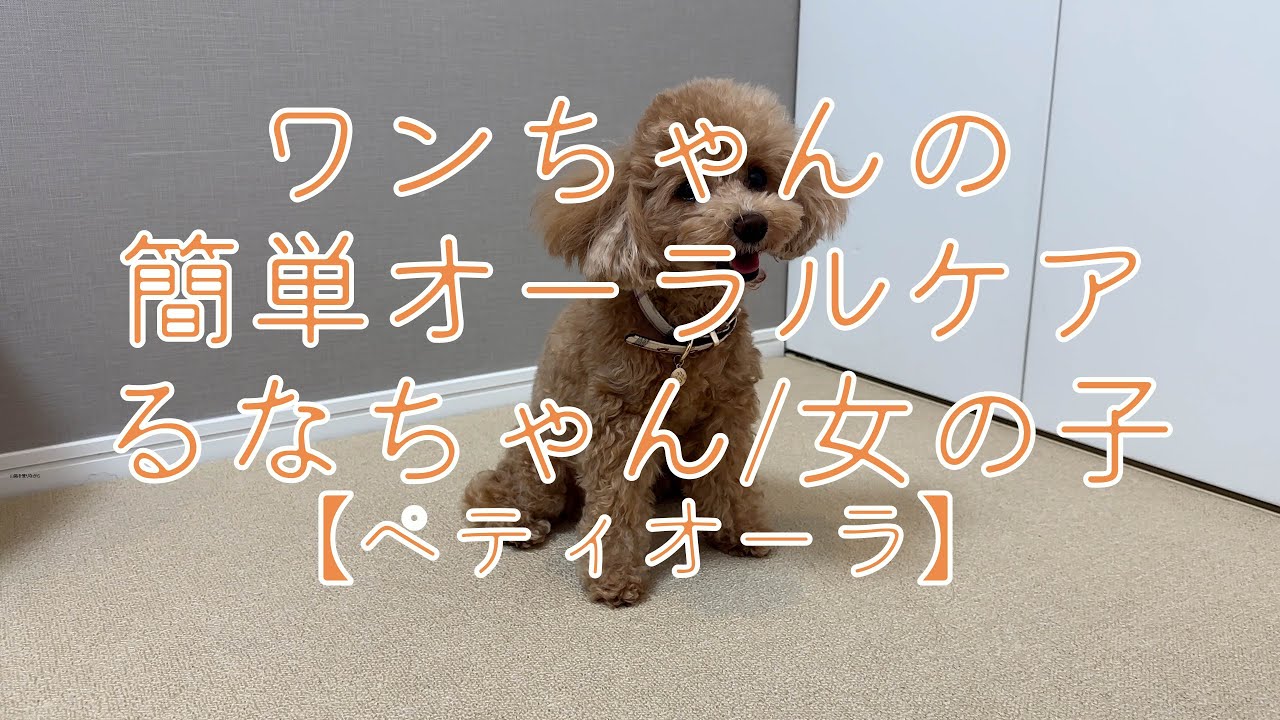 クラウドファンディングプロジェクト：貼るケアで、ペットの幸せを守る。「ペティオーラAD」これからのペットオーラルケア新常識