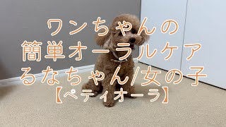 クラウドファンディングプロジェクト：貼るケアで、ペットの幸せを守る。「ペティオーラAD」これからのペットオーラルケア新常識