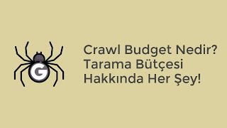 Crawl Budget Nedir? Tarama Bütçesi Nasıl Optimize Edilir?