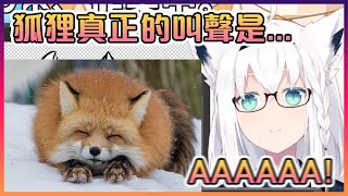 [Vtub] 狐狸真的是這樣叫嗎？