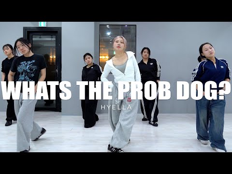 WISEKIDS 'Whats the Prob Dog?' choreography HYELLA