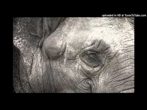 Lars Moston, Matchy, Erica Dee, Bott - The Light feat. Erica Dee (DBMM Remix)