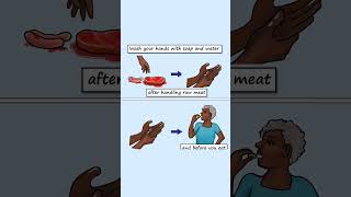 10 things you should know about Toxoplasma gondii