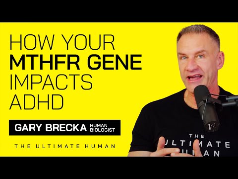 How Your MTHFR Gene Affects ADHD and What to Eat | TUH #043