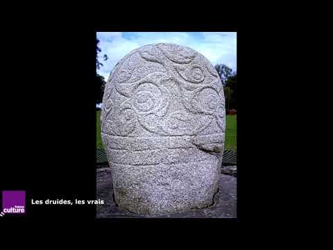 Les druides, les vrais