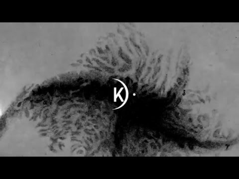 Paulo Foltz - Night (Original Mix)