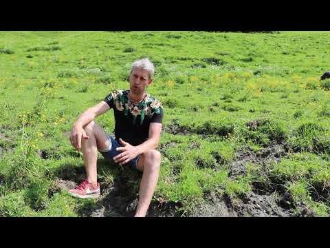 Erfolgreiche Weidehaltung im Berggebiet