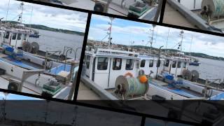 Stoned At The Jukebox--Hank Williams JR