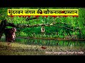 सुंदरबन जंगल की कहानी | The Sundarban-  India's Most Dangerous Forest | Sundarban Ma