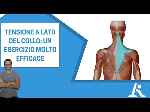 Periartrite scapolare di spalla Risonanza magnetica del ginocchio, mentre