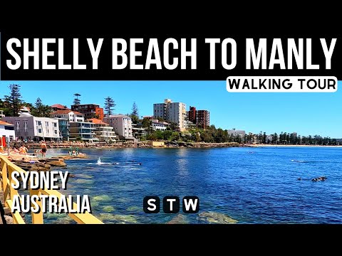 4K ☀️ Shelly Beach to Manly Walking Tour 🇦🇺 Sydney Australia