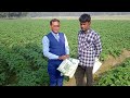 Awpl Agriculture Product Bhovita And Agro Hariyali Se Aaya Aalu Ka Jabardast Result ️7317623699