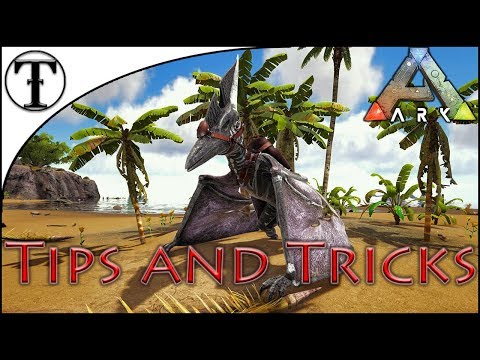Fast Pteranodon Taming Guide :: ARK : Survival Evolved Tips and Tricks