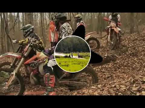 MC Pedrinho e Rincon Sapiencia (Beber Enloquecer)