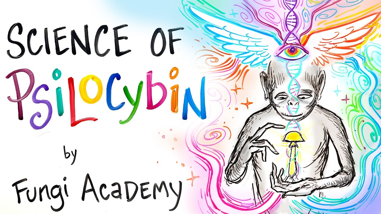Science of Psilocybin - How it Works & Why it Exists