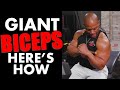 GIANT BICEPS: Here's How!