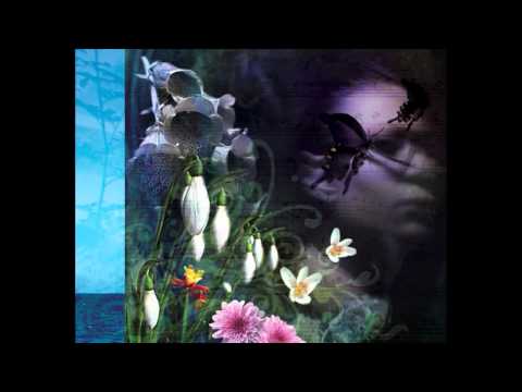 PODRUM - Vehni Vehni Fijolica