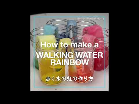 木製の屋根軒天井を持つモダンな砂漠の家のアトリウム