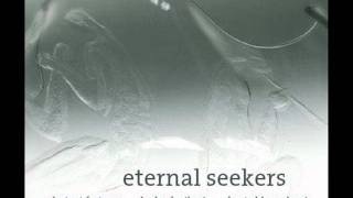 Eternal Seekers Accords
