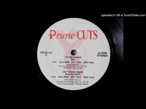 Seal - The Beginning (Prime Cuts Version)