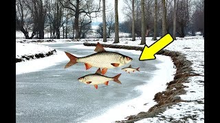 Где ловить сорогу в январе на реке