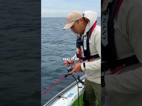 fishing tackle from JAPAN is NEXT LEVEL 🤯