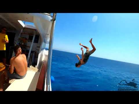 Safari Nurkowe z EdenSport