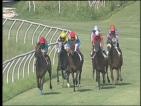 Galoppo 17/06/2016 - 3° corsa