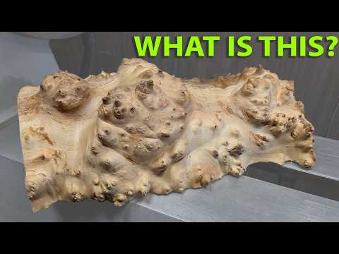 The Chestnut Creature – Turning a Living Burl