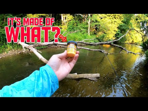 Trout Fishing with Berkley Powerbait || What's in this stuff?