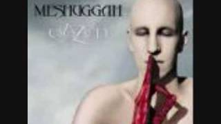 Meshuggah - Combustion (lyrics)