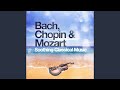 Clarinet Concerto in A Major, K. 622: II. Adagio