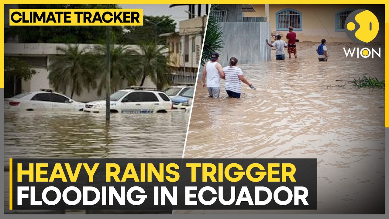 Ecuador Hit By Heavy Rains As Flooding Disrupts Several Areas | WION Climate Tracker