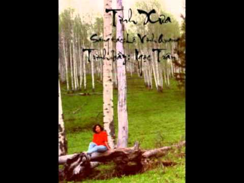 Tình xưa - Ngọc Trân