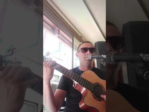 Čelebija Adnan - Suncokreti ( Aca Lukas )