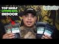 New Beleafer Fire CBD Flower Review Pt 2