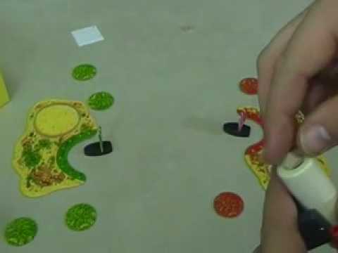 [Video Review] Pirate's Blast