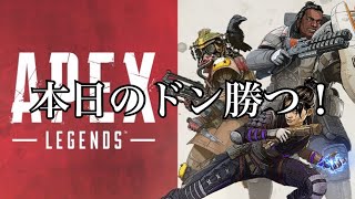 【エーペックス】本日のドン勝つ（4回）