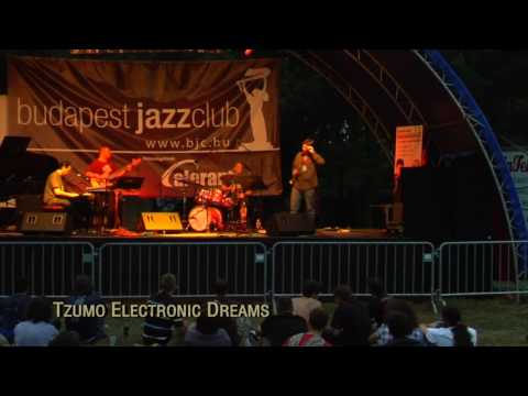 Budapest Jazz Club Stage - Sziget 2009